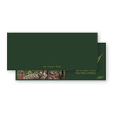 Chartreuse and Forest "Merry Merry" Holiday Card