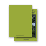 Racing green and lime green "Merry and Bright " Holiday Card