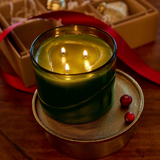 Thymes Frasier Fir 3-wick Poured Candle