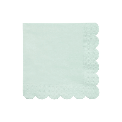 Pale Mint Small Napkin