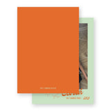 Orange and Mint "Peace on Earth " Flourish Holiday Card