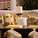 Thymes Frasier Fir Ceramic Petite Candle