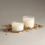 Thymes Frasier Fir Frosted Wood Grain Candle