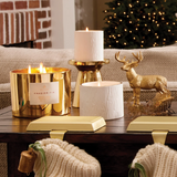 Thymes Frasier Fir Gold 3-wick Candle