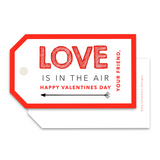 Love Is In The Air Valentine's Day Gift Tag