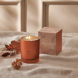 Thymes Pumpkin Laurel 6.5oz Boxed Candle
