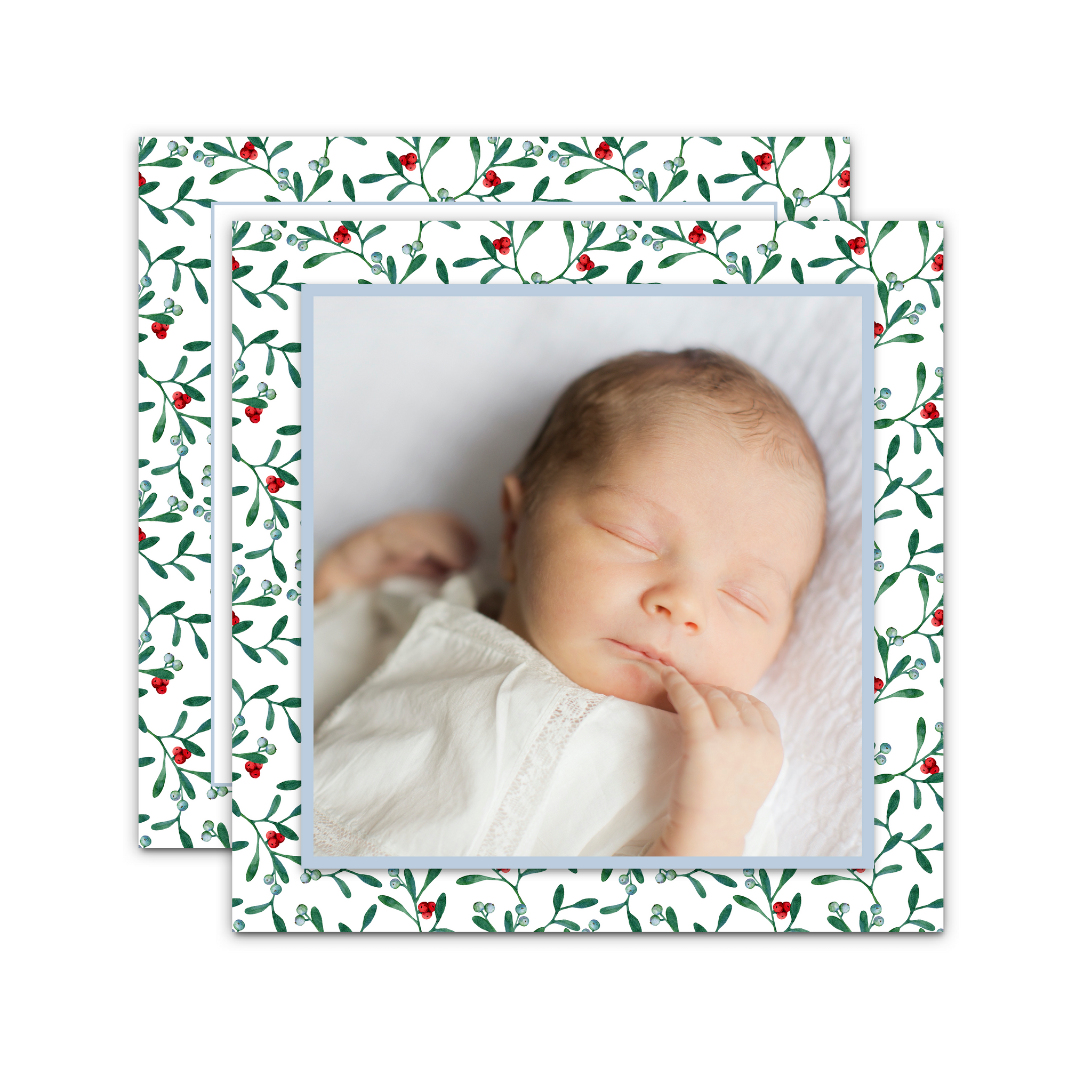 Holly Border Holiday Card / Birth Announcement (Square)